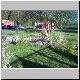 cew_garden20.jpg