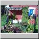 cew_garden3.jpg